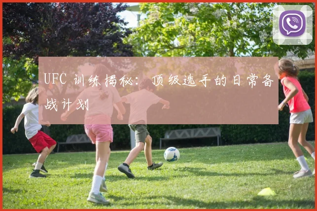 UFC 训练揭秘：顶级选手的日常备战计划
