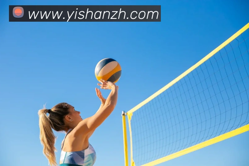 杏彩体育APP 封面图